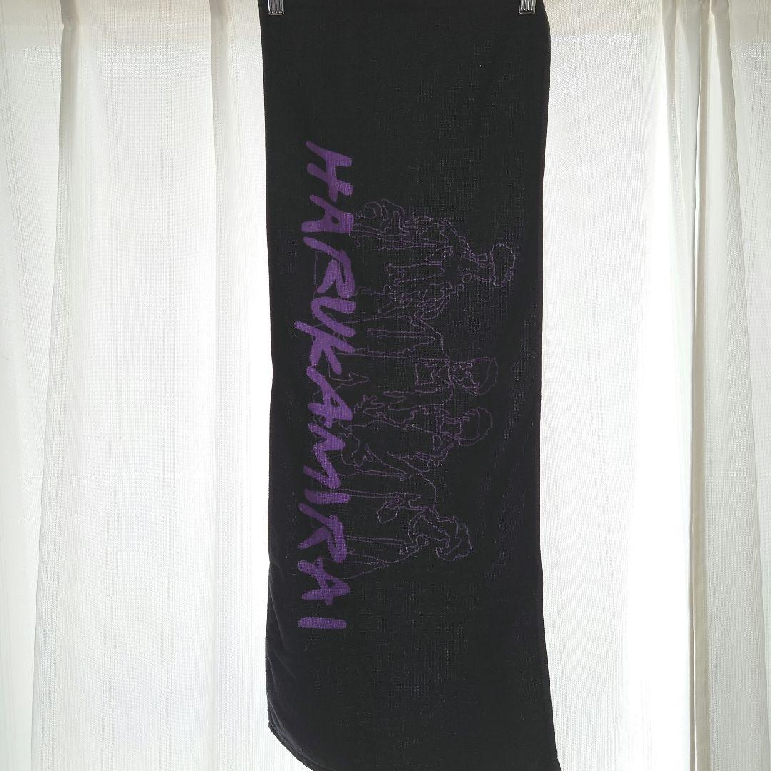 【希少】 タオル ハルカミライ