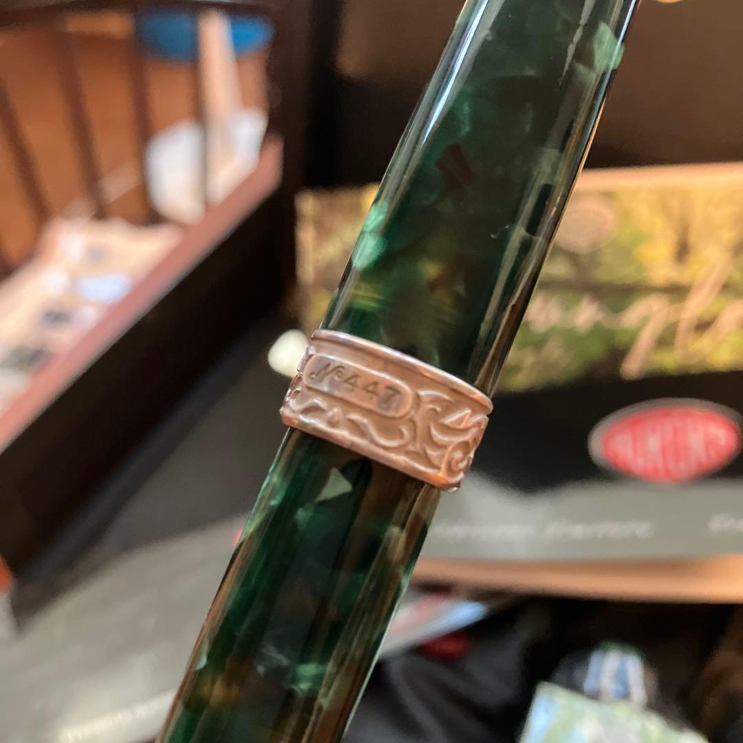 アウロラ　万年筆　ジュングラ　アンビエンテ　EF