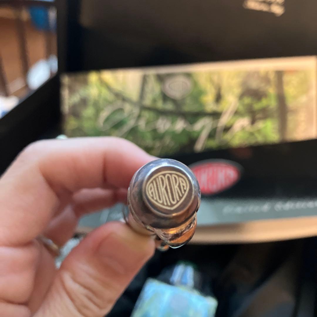 アウロラ　万年筆　ジュングラ　アンビエンテ　EF