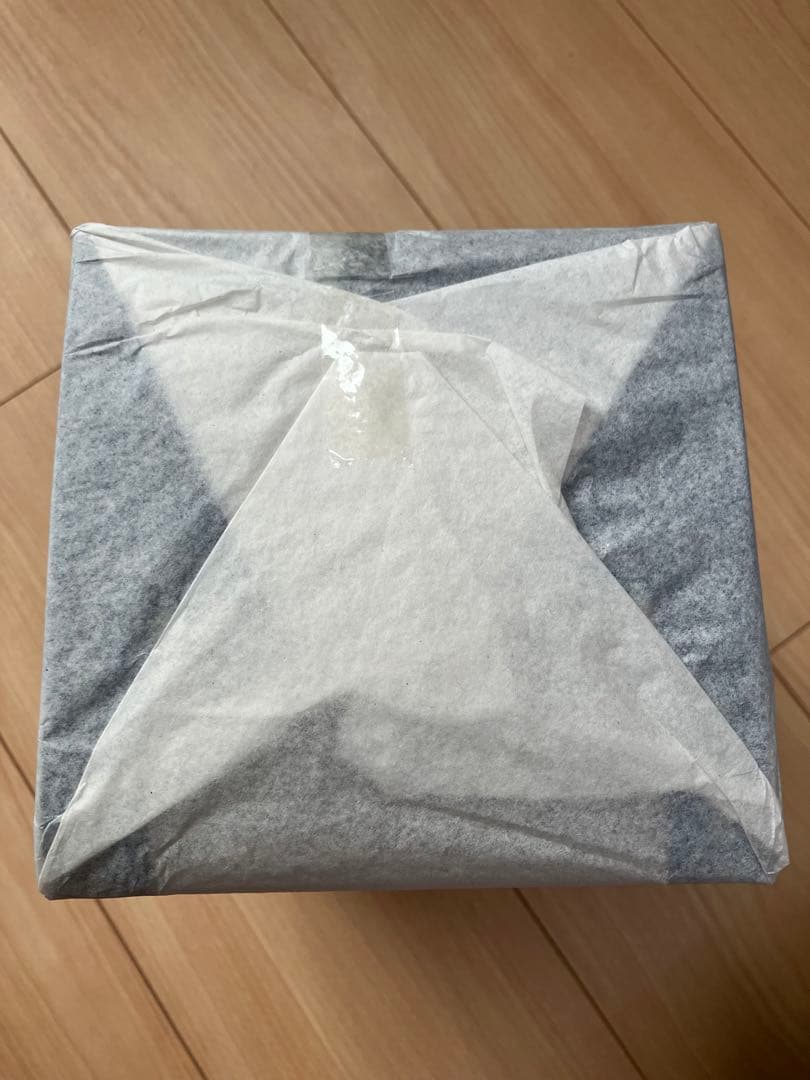 【新品】逆転裁判5 成歩堂龍一 1/10スケールフィギュア【未開封】