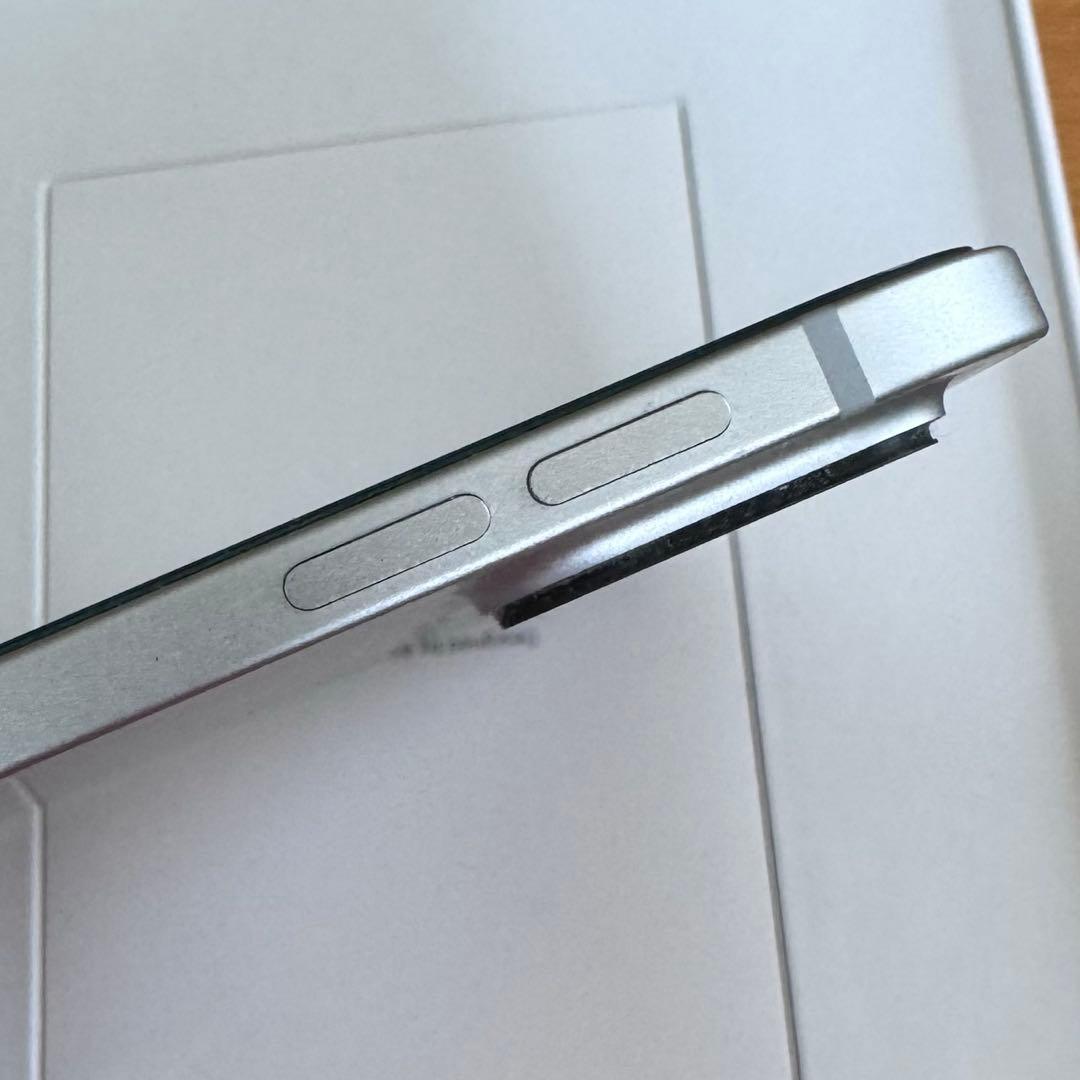 iPad本体 ipad pro m4 13inch 256G Apple pencil pro