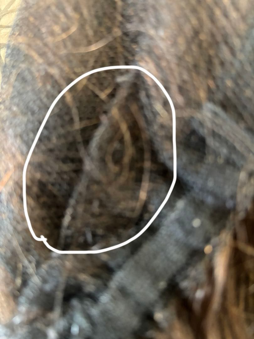 フォンテーヌ　フルウィッグ（説明書付き）