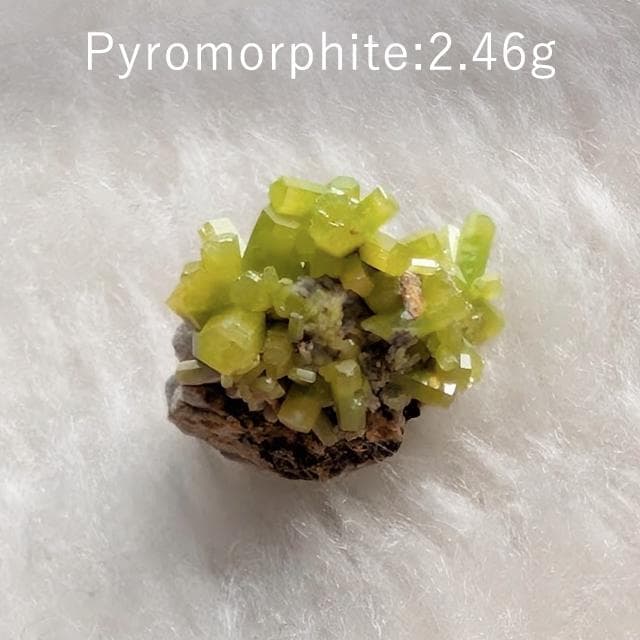 2.46g　緑鉛鉱　パイロモルファイト　鉱物標本