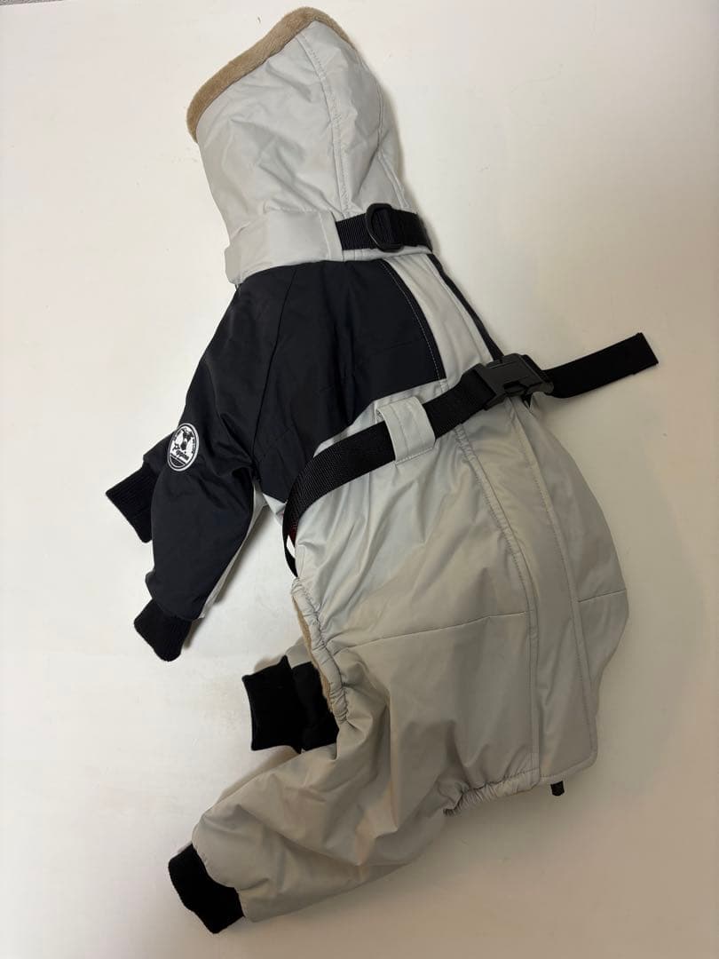 イタグレPippino ボンバーヒートジャケット ライトグレー×ブラック美品 M