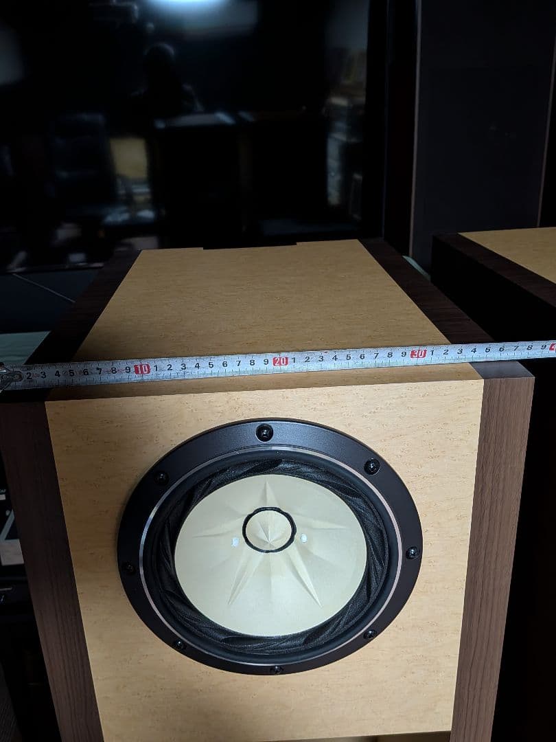 バックロードホーンFostex FE208Ｅ∑　自作品　北海道引取り限定