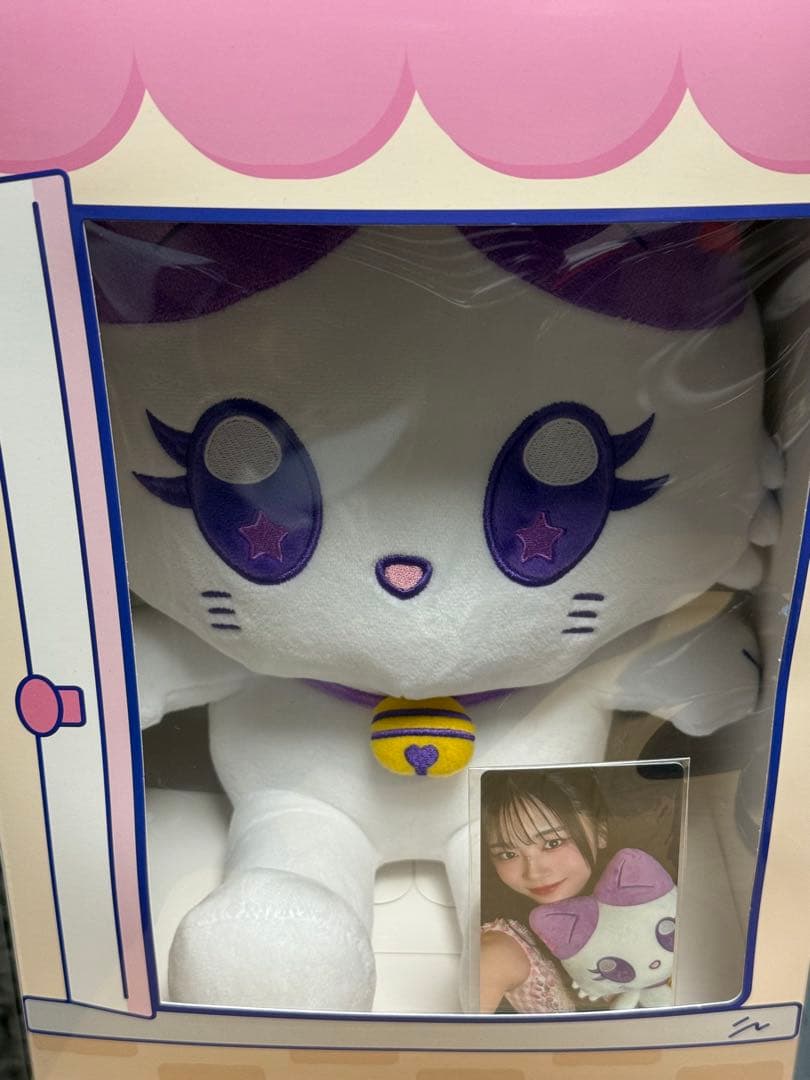 おすわりミャイズ 佐々木心菜 KOKO:NYA ME:I 新品