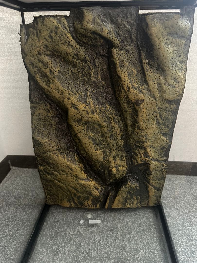 グラステラリウム　3045 直接可