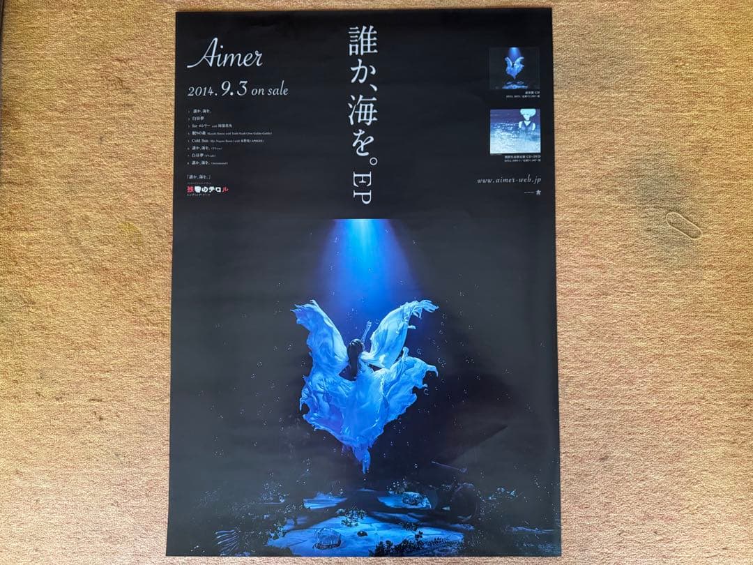 Aimer 誰か、海を。 ポスター