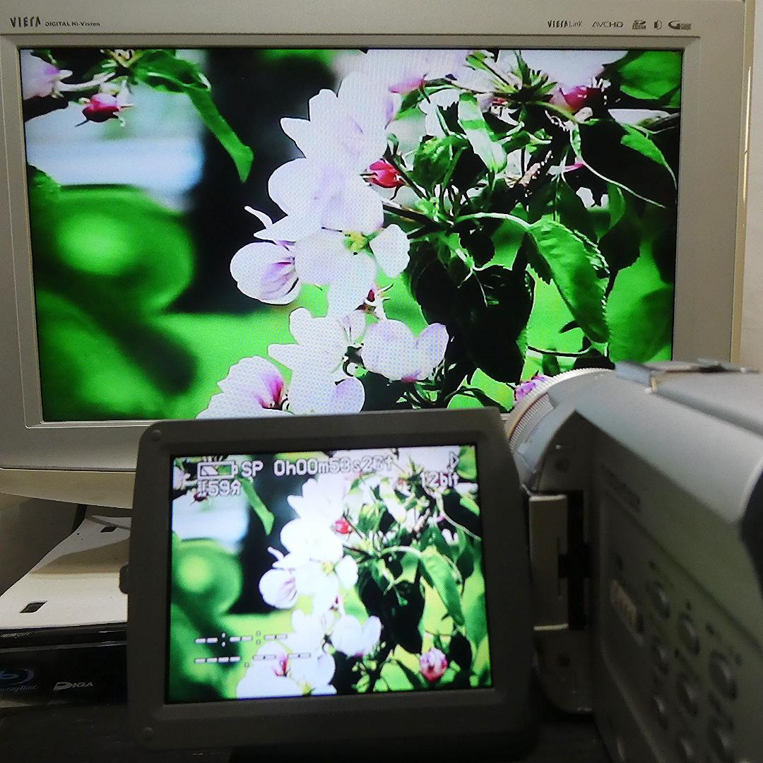 動作良好 パナソニックNV-MX5000 MiniDVビデオ DVD化に最適 !