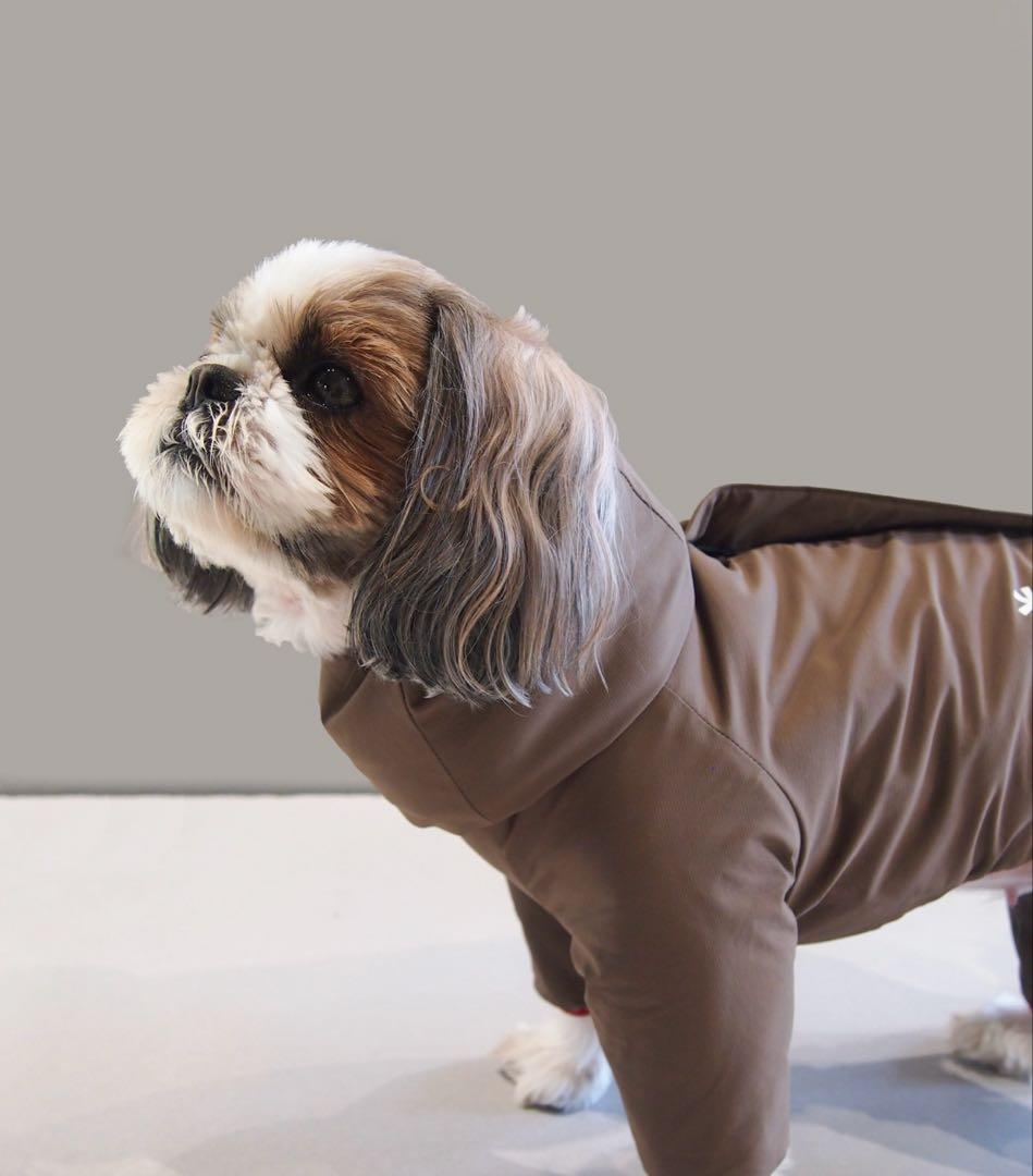  Peak / Dog Winter Guard ウィンターガード