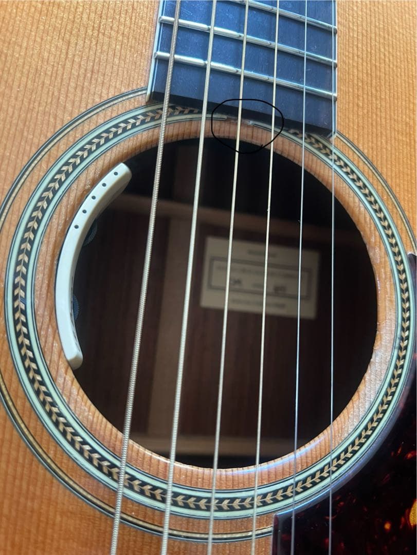 Santa Cruz OMサイズギター(Collings社製ハードケース付き)