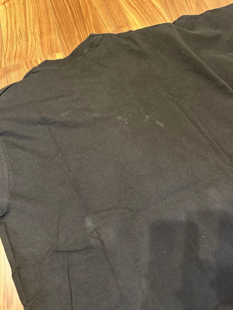 ウィリアム・ウェグマン　Tシャツ　XL