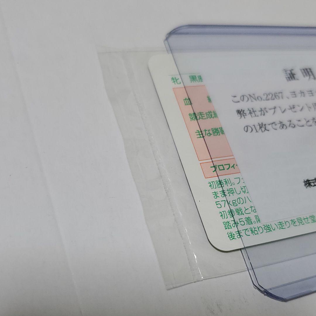 競馬 ヨカヨカ　レインボーカード15枚限定