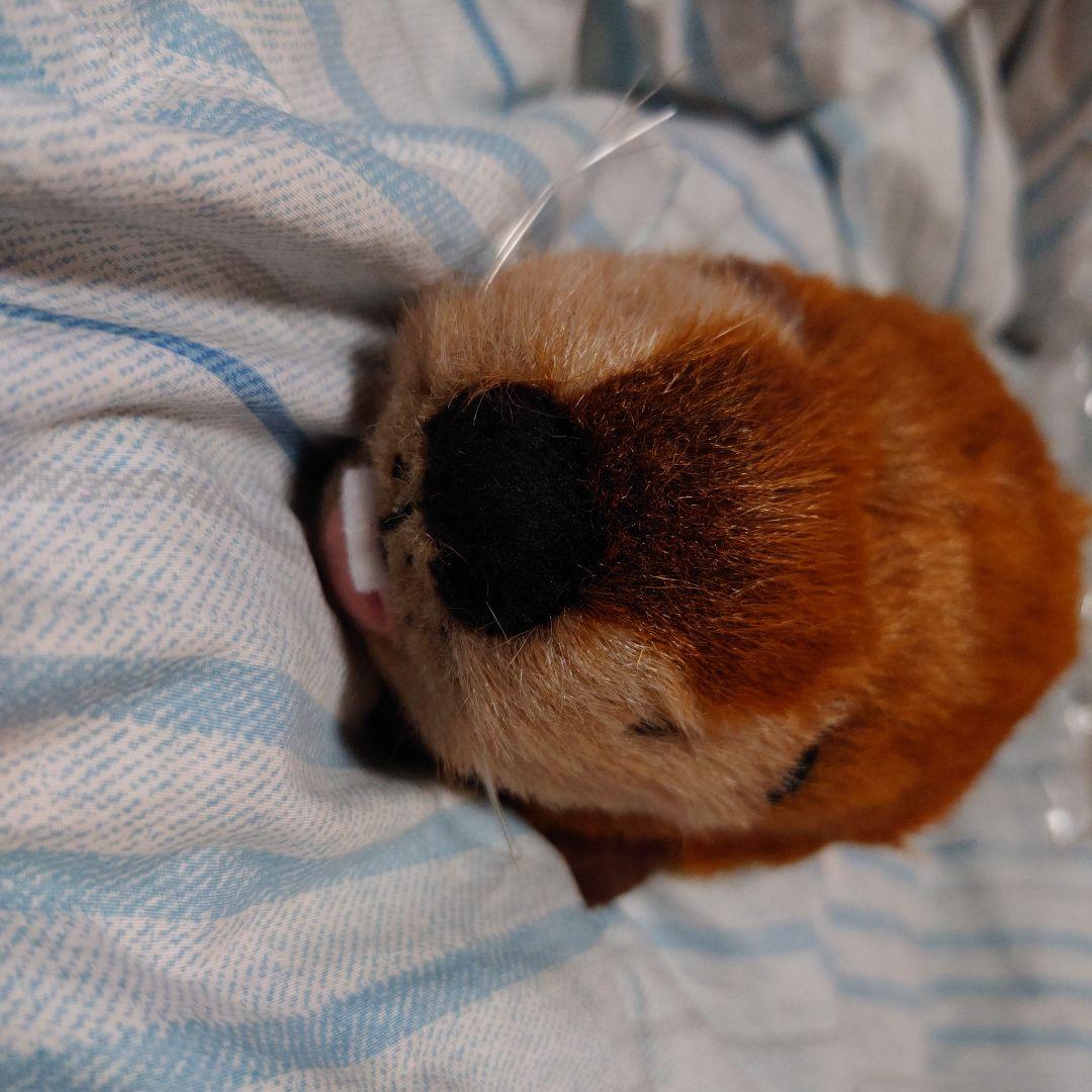 スーパービーバー ぬいぐるみ