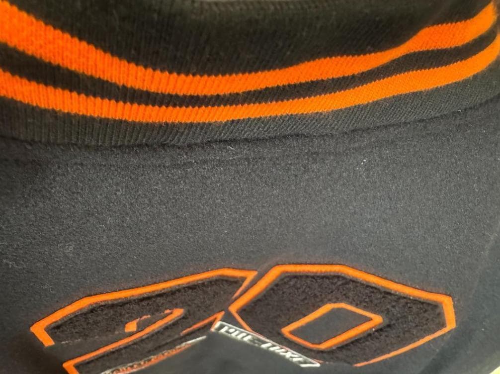 【限定】Harley Davidson 120周年記念レザージャケット