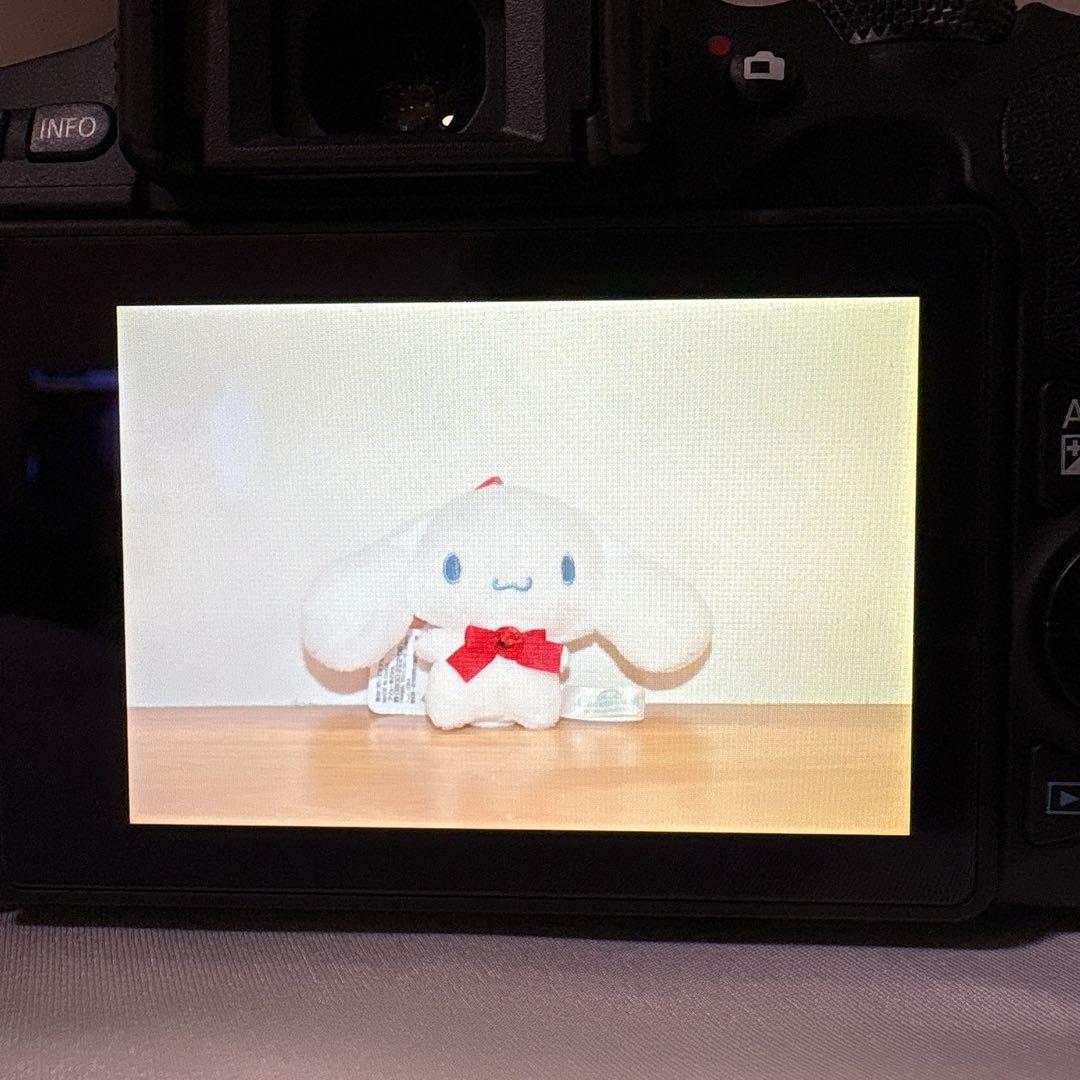 12/23限定価格✨Canon Kiss X9 ダブルレンズ⭐️カメラバッグ付き