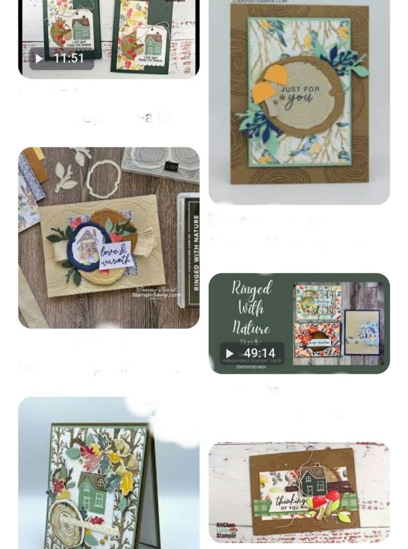 お値下♡未使用　万能な可愛い切株スタンプ＆ダイ＆エンボス　スタンピンアップ