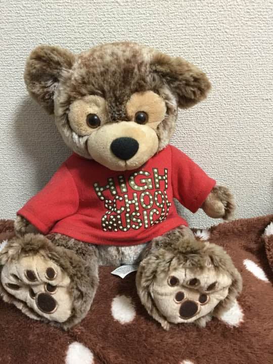 ディズニーベア ハイスクールミュージカル＆イッツマイバースデー