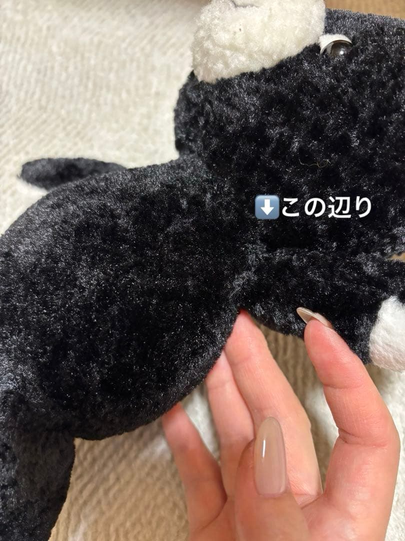 テディベアミュージアム Mion ＆ Minmi 白 黒 セット