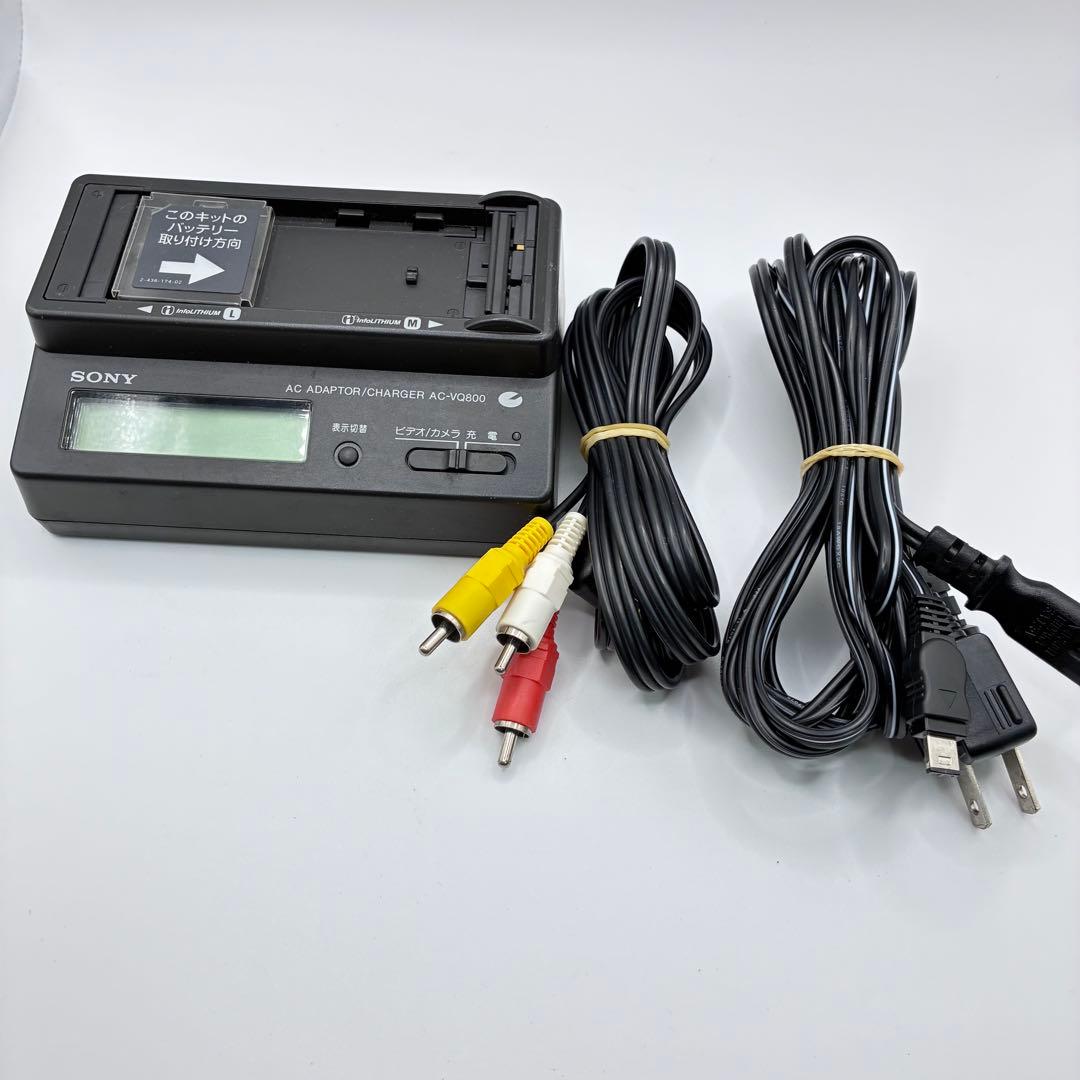 SONY DCR-TRV10 miniDV ビデオカメラ