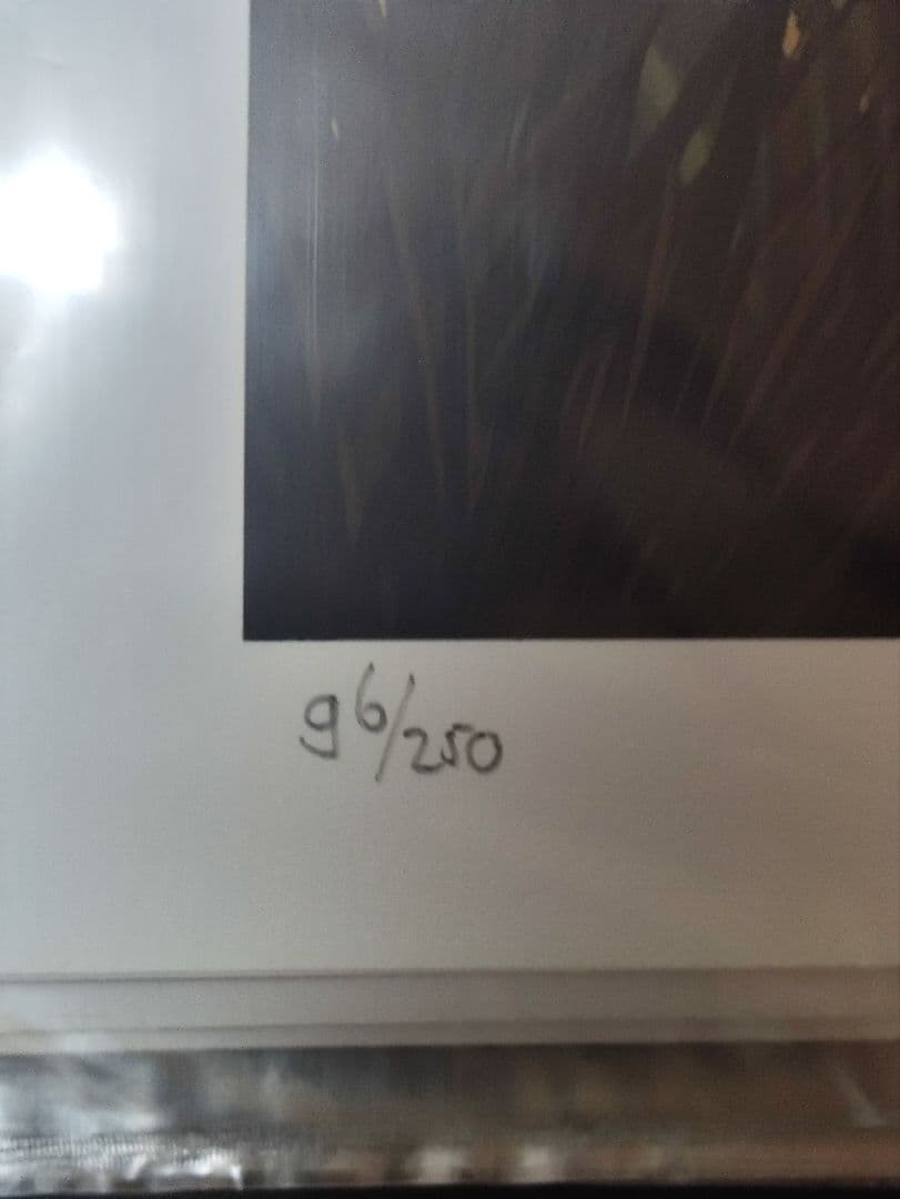 ワンダと巨像　ポスター　Cook ＆ Becker