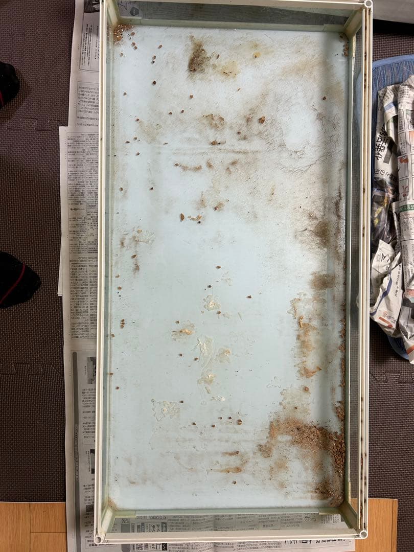 りょうちゃんページ