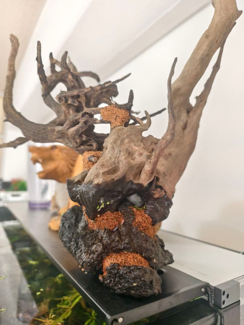 水槽用流木 自然色