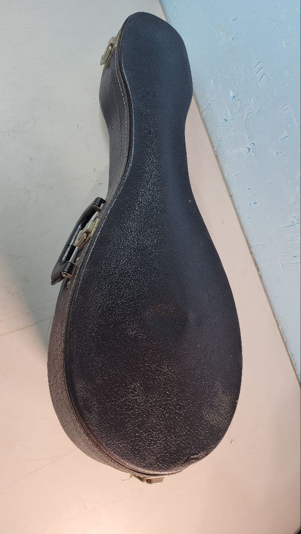 木製アーチトップ手工品マンドリン 8弦 ケース付き