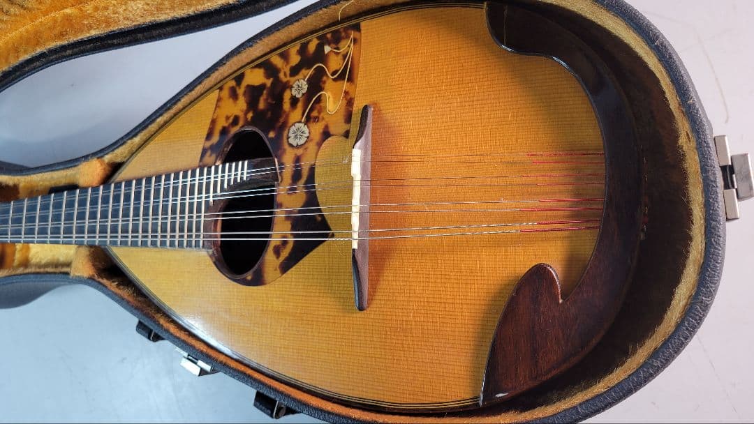 木製アーチトップ手工品マンドリン 8弦 ケース付き