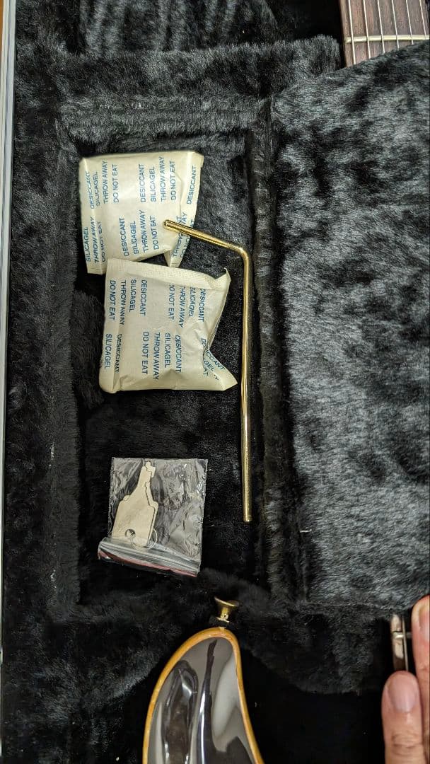 Dean hardtail Pro Tremolo TPK フジゲン