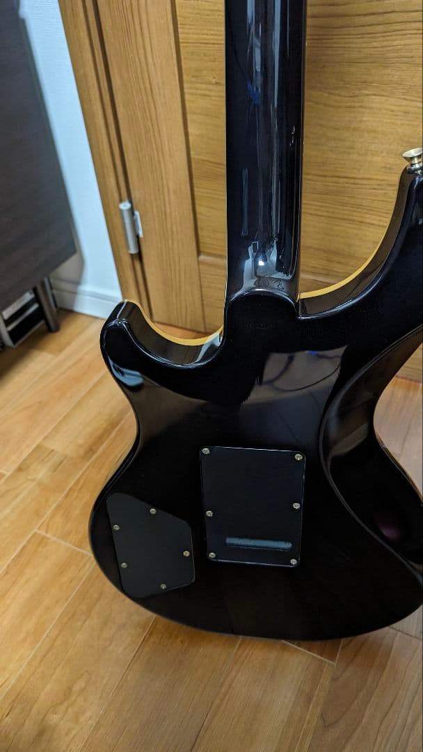 Dean hardtail Pro Tremolo TPK フジゲン