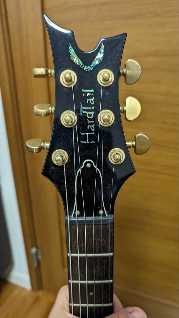 Dean hardtail Pro Tremolo TPK フジゲン