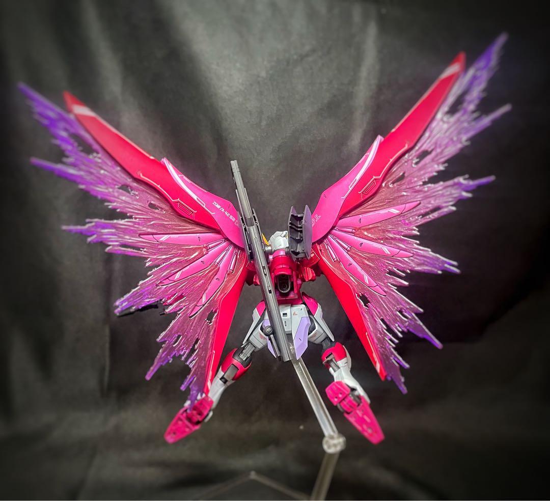 N*T様 ガンプラ完成品HG デスティニーガンダムspecⅡ & ゼウスシルエッ