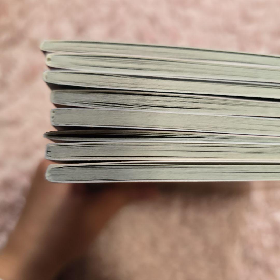 二哈和他的白猫師尊 限定版小冊子