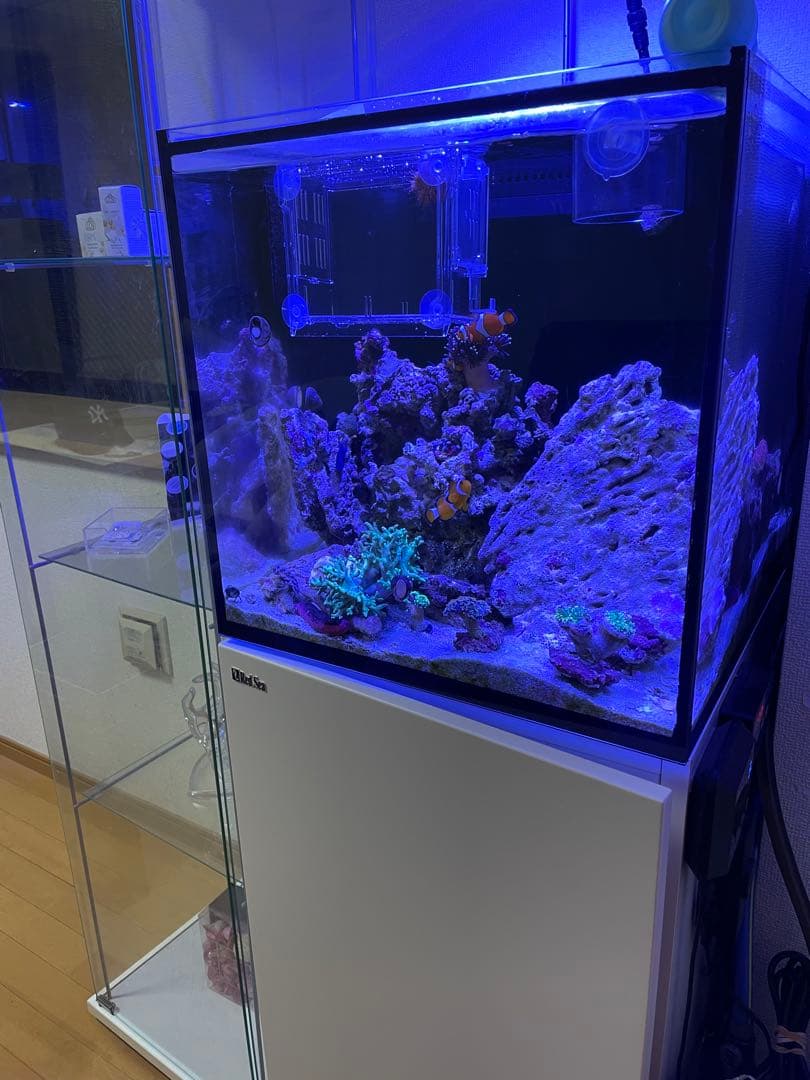 Maxspect R420r nano LED70w15000kマックススペクト
