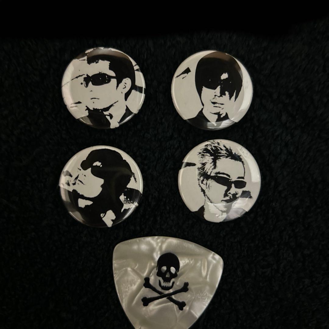 貴重！ミッシェルガンエレファント&ヘッドコーツピンバッジ＆ピックセット