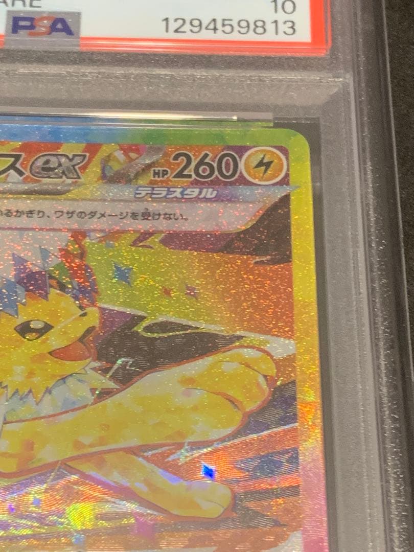 サンダースex SAR SV8a テラスタルフェスex PSA10