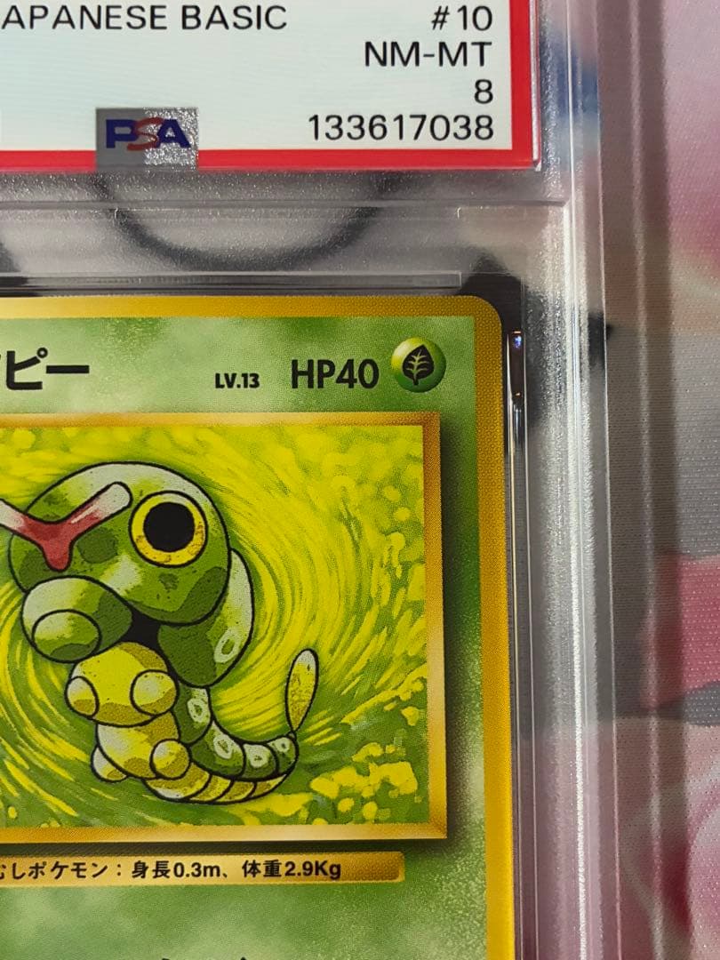 PSA8☆キャタピー 旧裏
