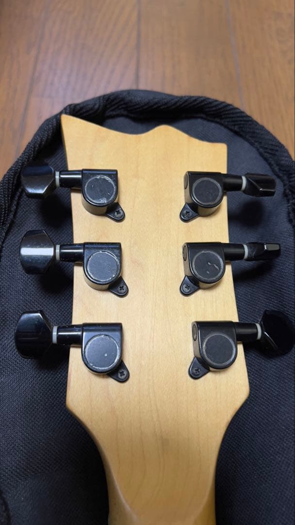 Grassroots ESP グラスルーツ　EC レスポール　ブラック