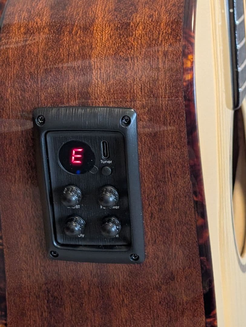 トップ単板美品★アンプ不要！リバーブやコーラスがかかる★　レコーディングキング