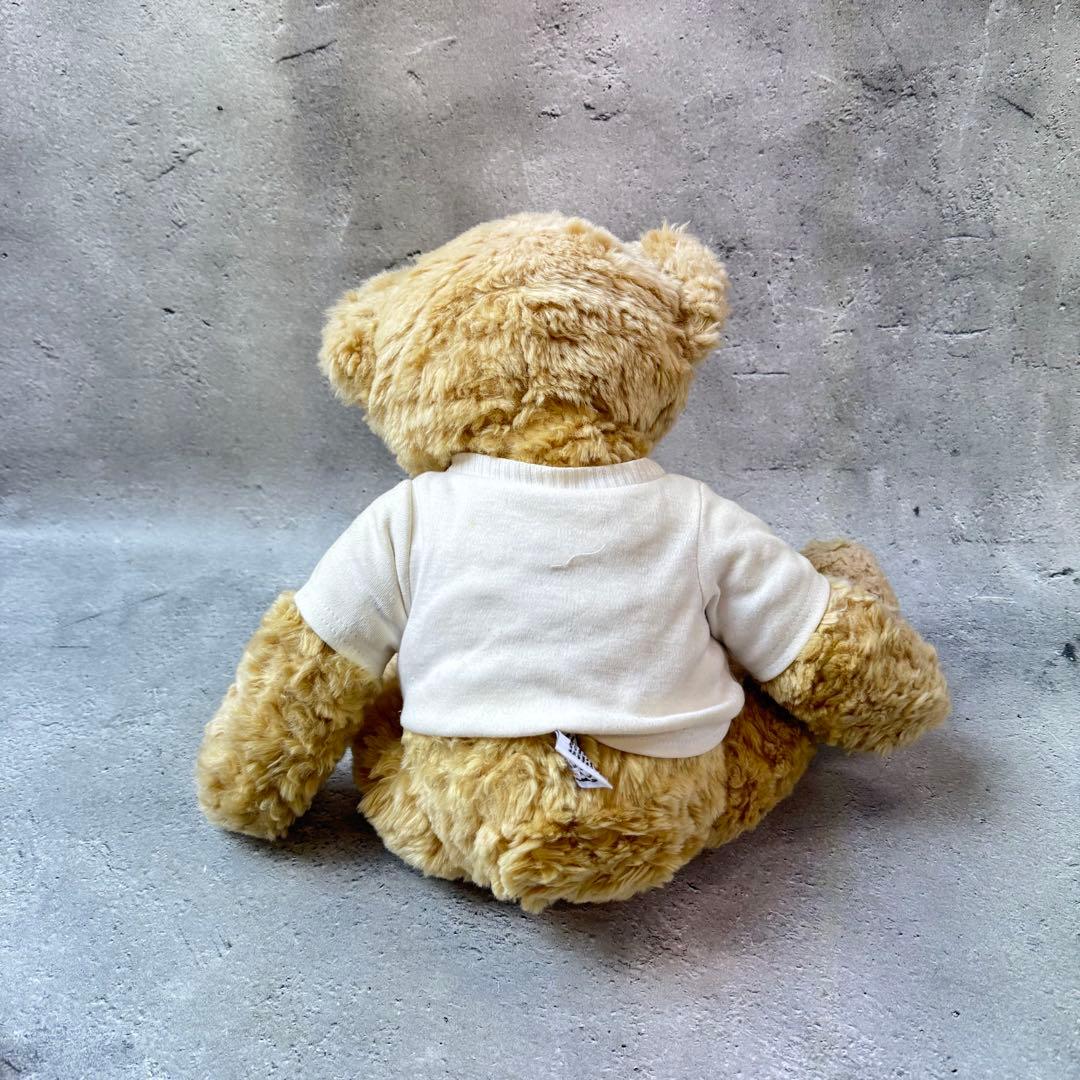 Mumbles テディベア ジェイムスディーンTシャツ付き