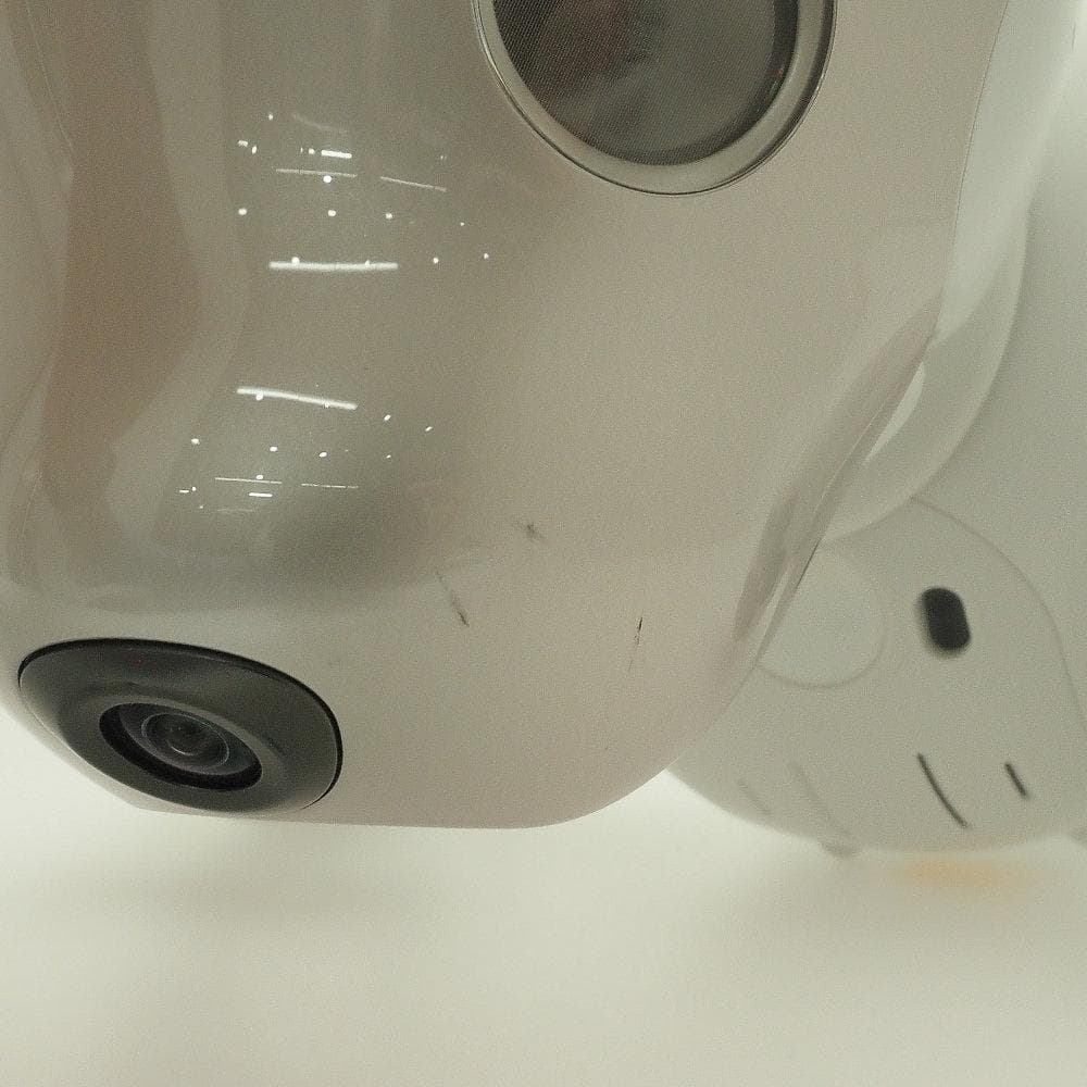 SONY ソニー aibo ERS-1000