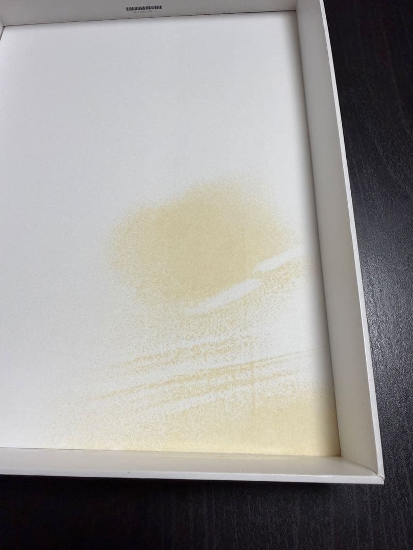 【あやちフィギュア販売 ］Apple iPad Pro 12.9インチ