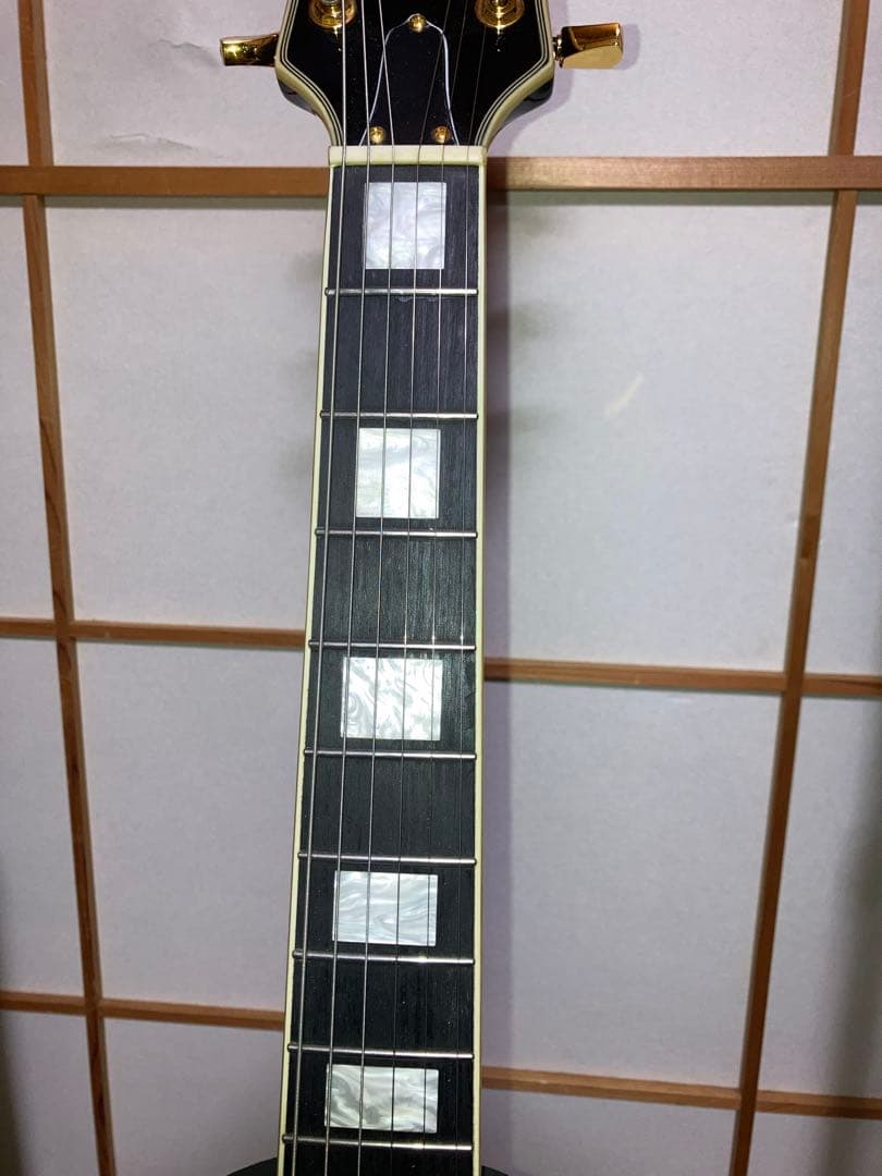 BUSKER'S バスカーズ レスポールカスタム BLC300 ケース付