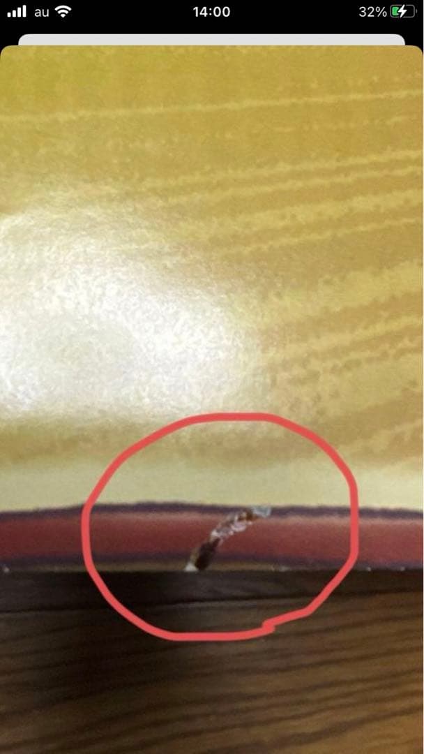 ポケモンカードゲーム neo 拡張パック第4弾闇、そして光へ…ポスターバンギラス