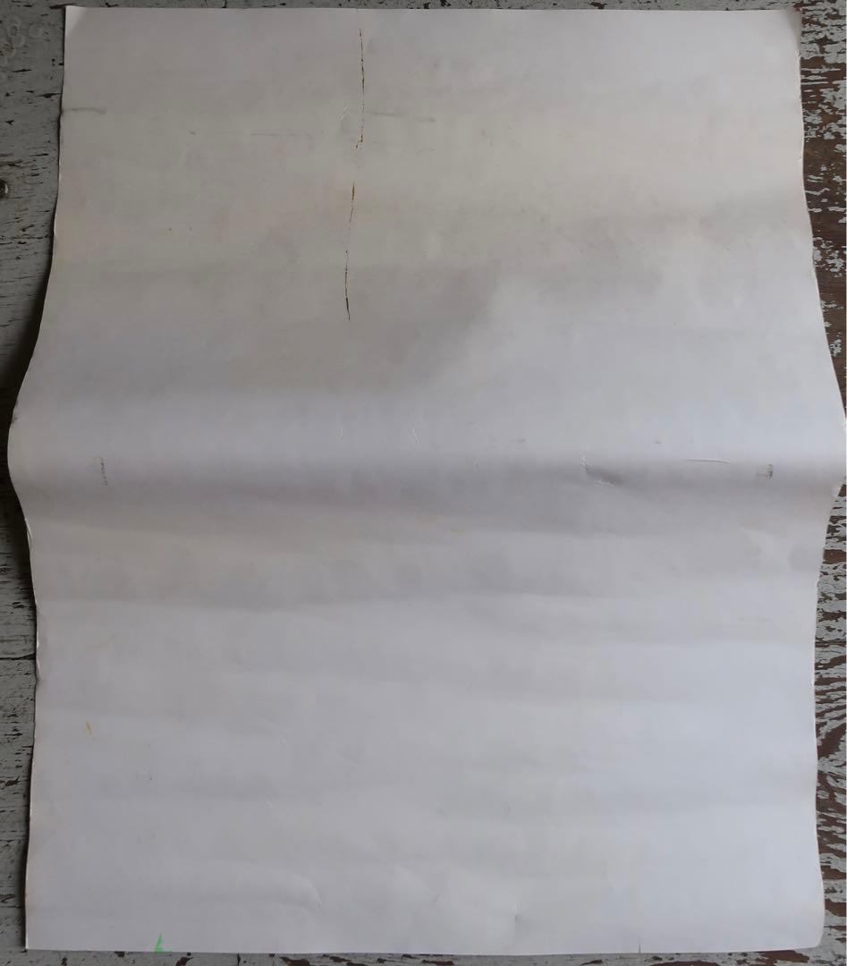 THE CRAMPS ヴィンテージポスター