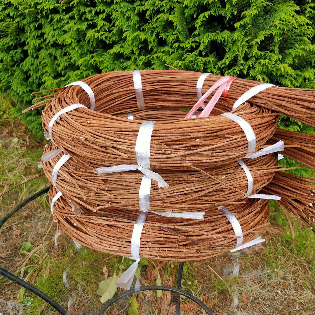 (注)青森県岩木山採取　あけび蔓　150cm～　3kg(依頼品)　1