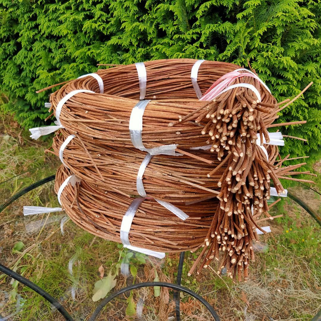 (注)青森県岩木山採取　あけび蔓　150cm～　3kg(依頼品)　1