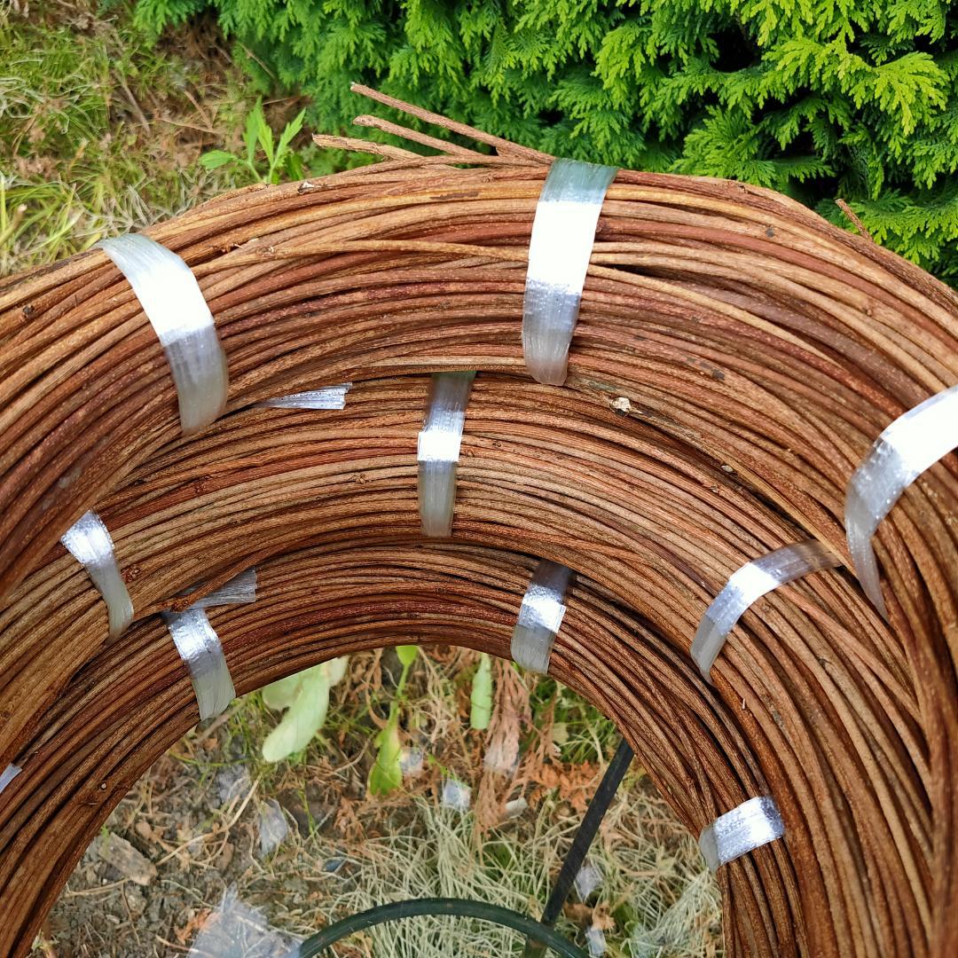 (注)青森県岩木山採取　あけび蔓　150cm～　3kg(依頼品)　1