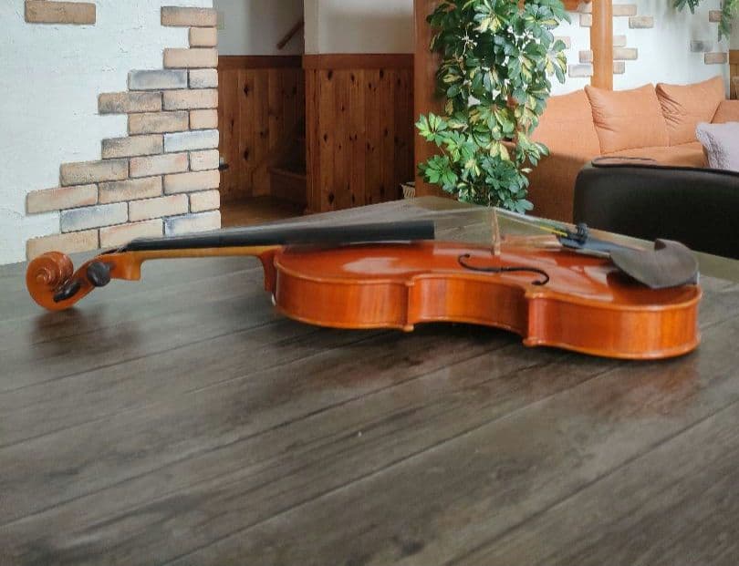 Rudolph Fiedler バイオリン GV-2 4/4 2005 チェコ